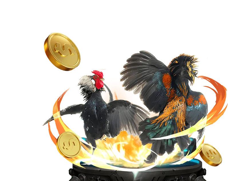 Hướng dẫn các bước đặt cược đá gà tại Thomo 88